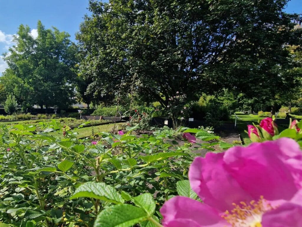 Jardin Botanique Bordeaux