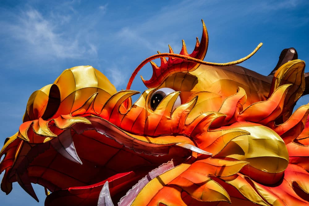 nouvel an chinois à bordeaux défilé dragon