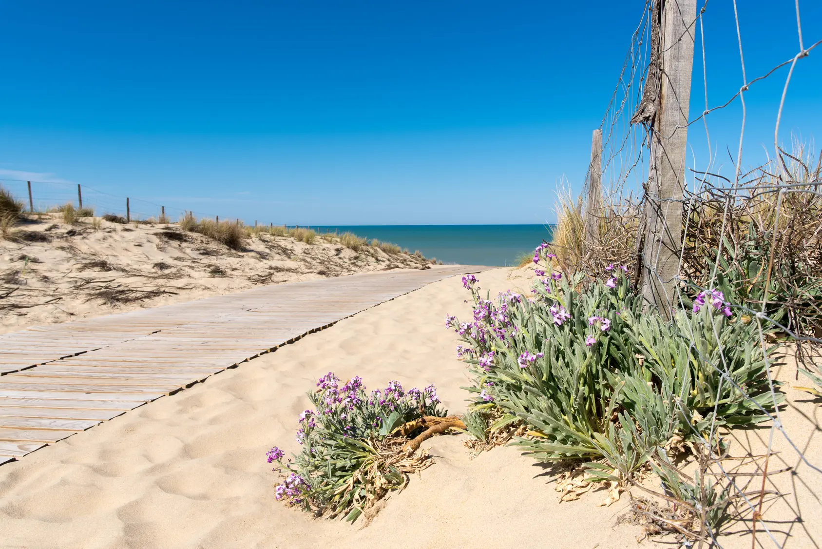 plage Lacanau le porge bordeaux