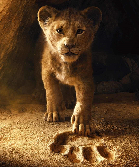 film le roi lion