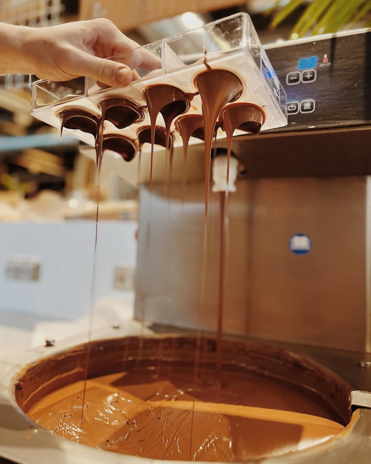 Origines chocolaterie : la 1e chocolaterie bio et entièrement ouverte est à Bordeaux 2 Chocolaterie Origines Darwin Bordeaux