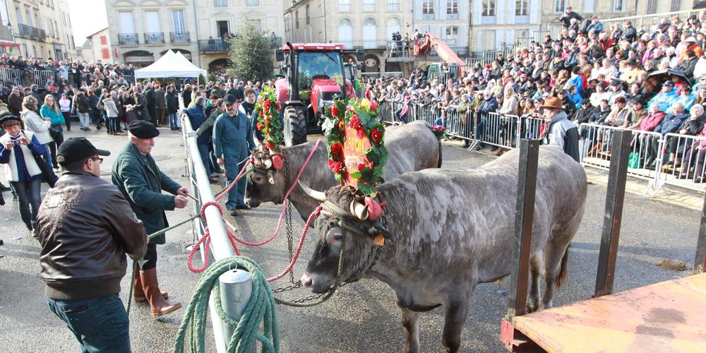 fête des bœufs gras