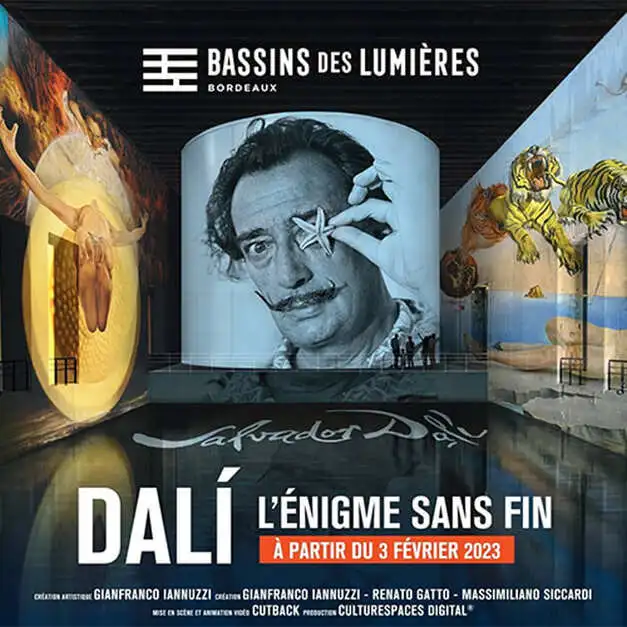 L'exposition Dali "L'énigme sans fin" aux Bassins des Lumières