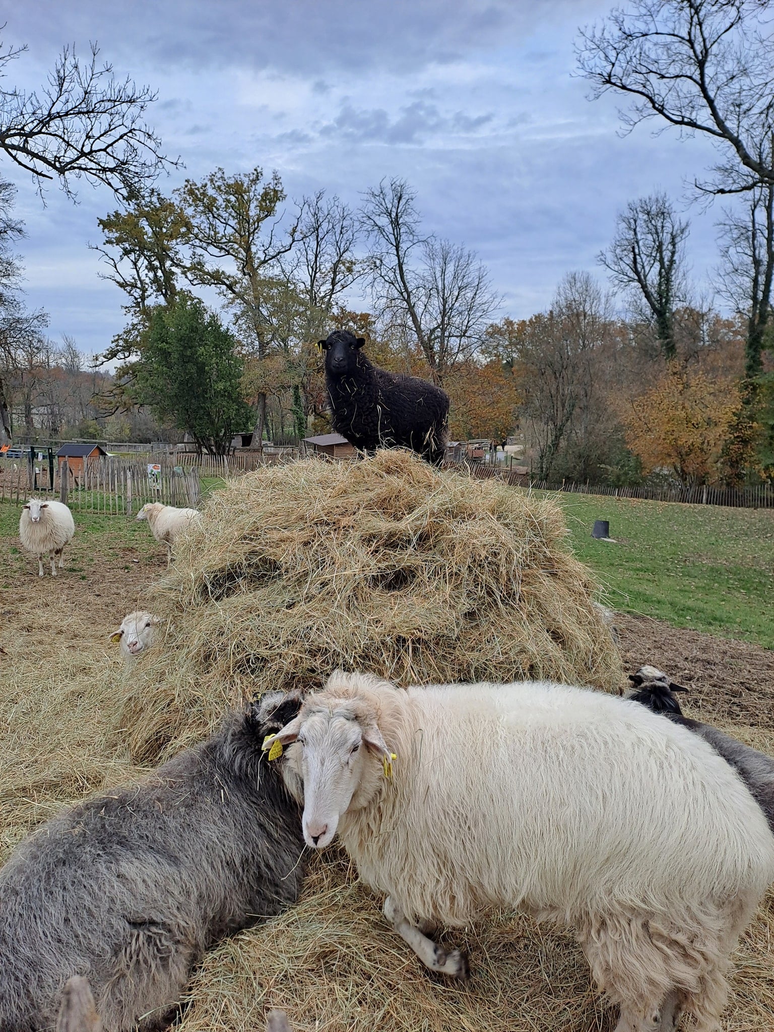 Vacances à la ferme Bordeaux