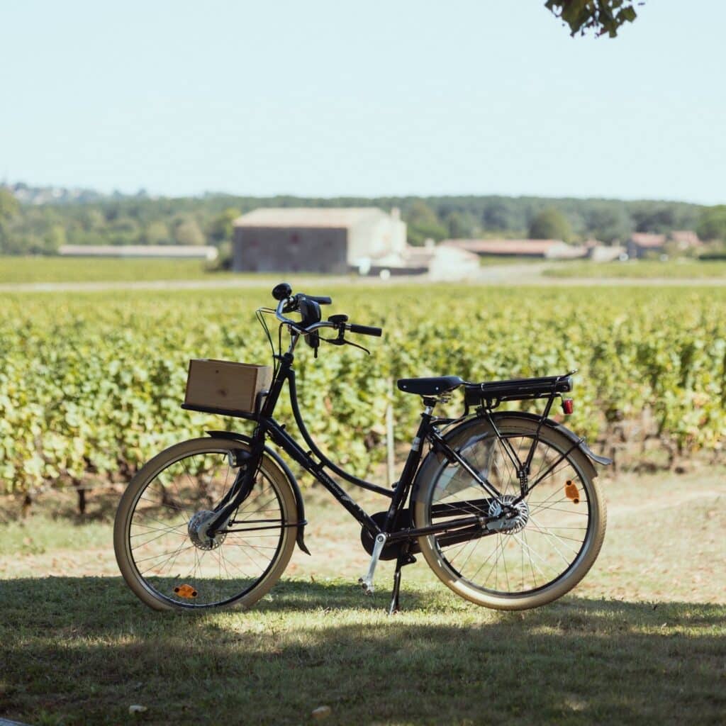 Château Doisy Daëne