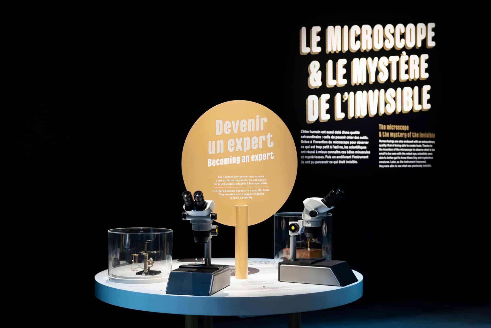 Ateliers découverte Mini-Monstres à cap sciences Bordeaux