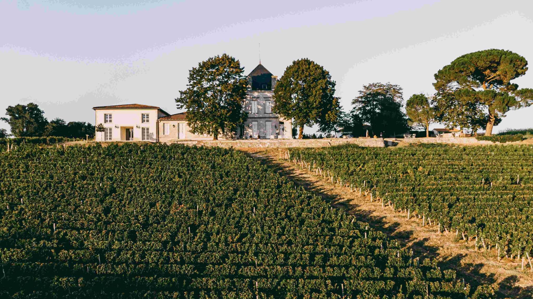 Château viticole Tournefeuille