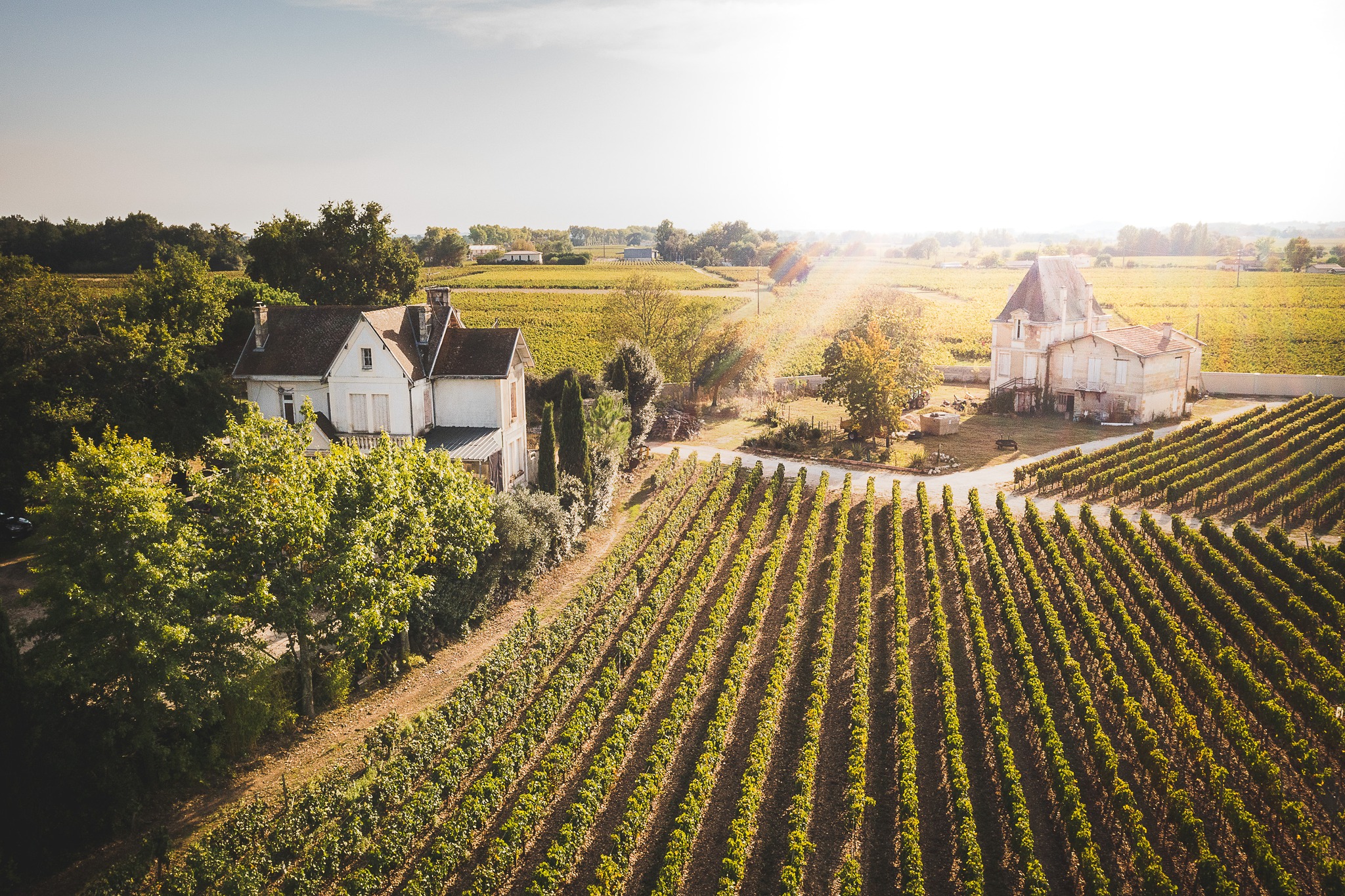 Château Bois de Laborde à Lalande de Pomerol