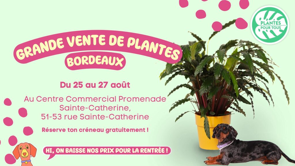 Grande Vente de Plantes - Promenade Sainte-Catherine Bordeaux