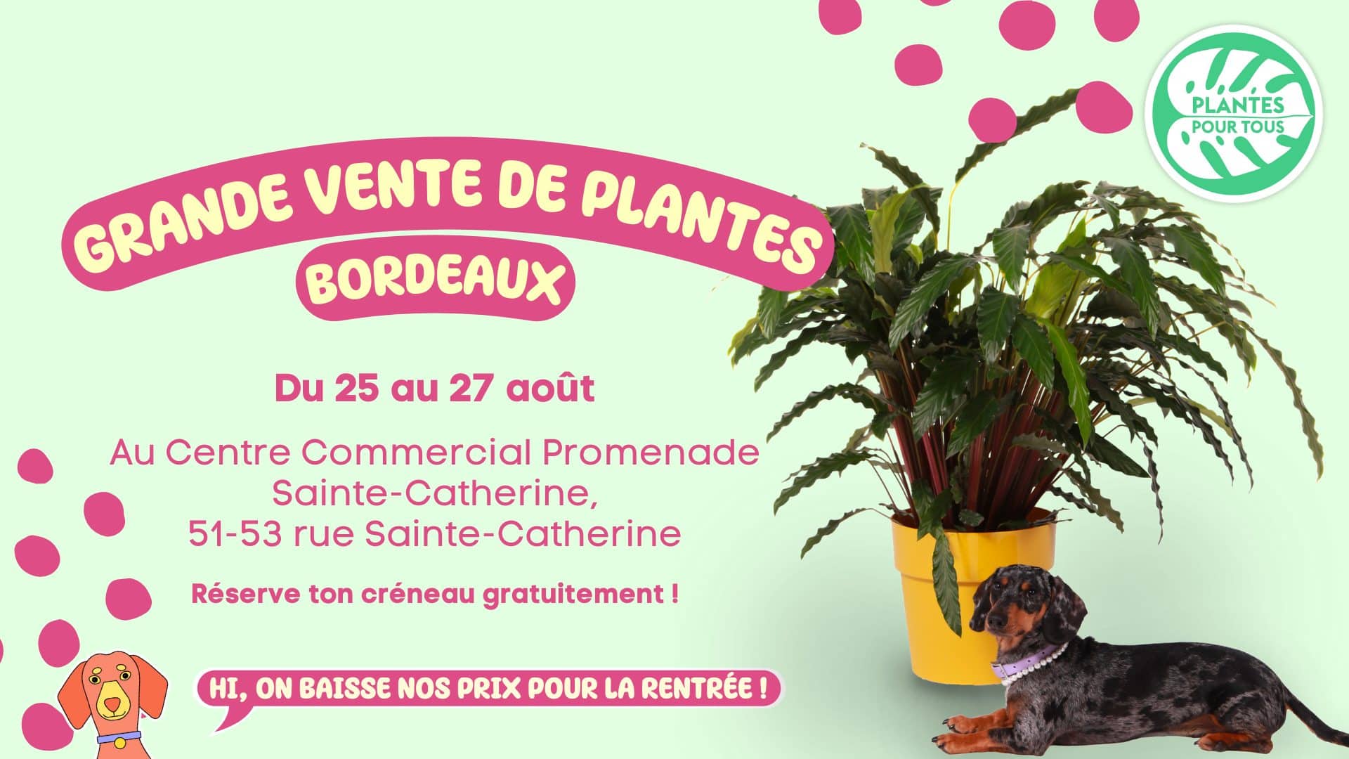 Grande vente de Plantes - BORDEAUX – Plantes Pour Tous