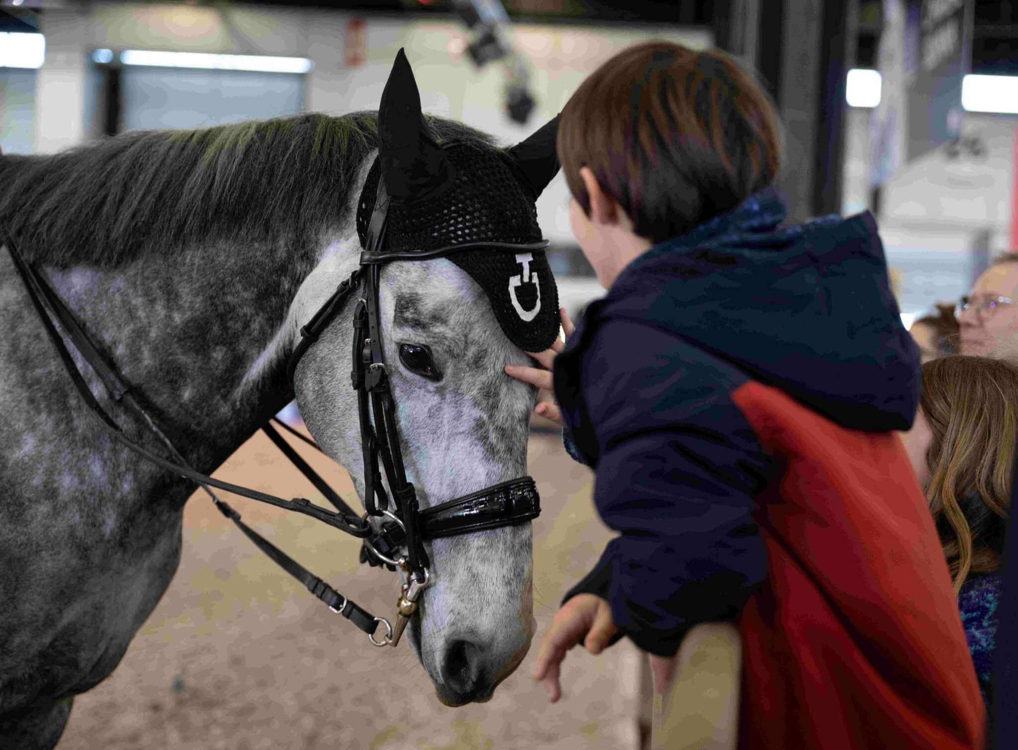 Salon du cheval bordeaux 2024