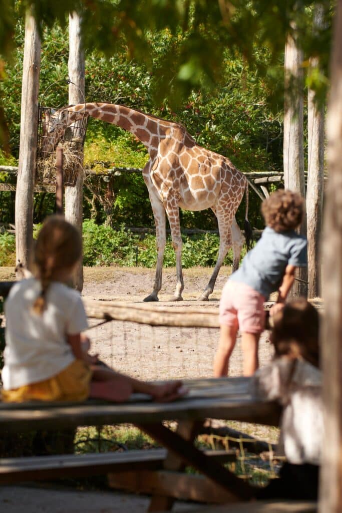  Zoo de Bordeaux-Pessac, printemps