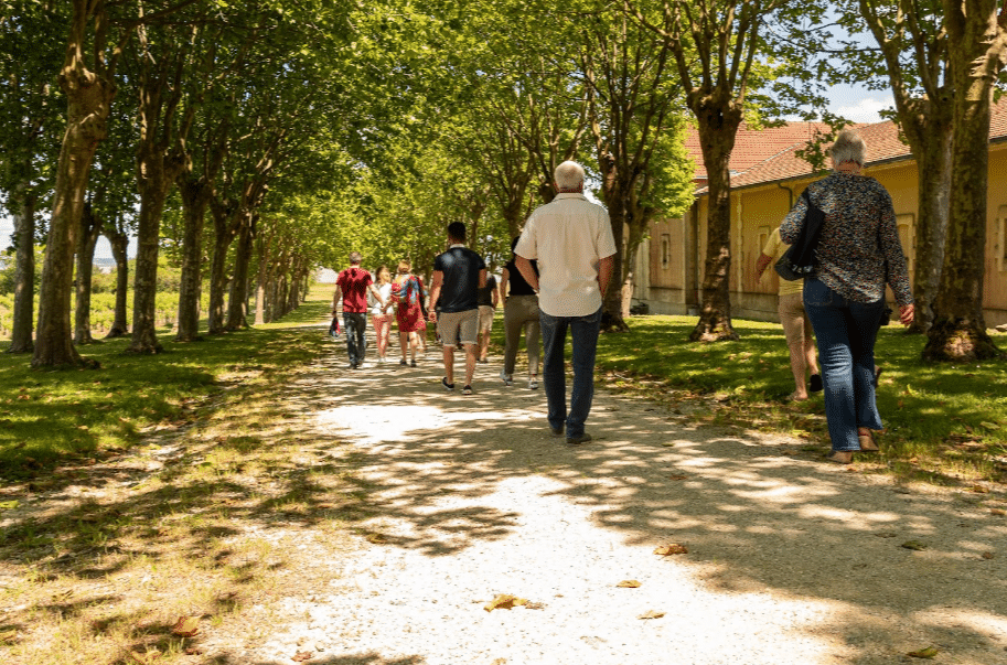 vin médoc Journées portes ouvertes Médoc