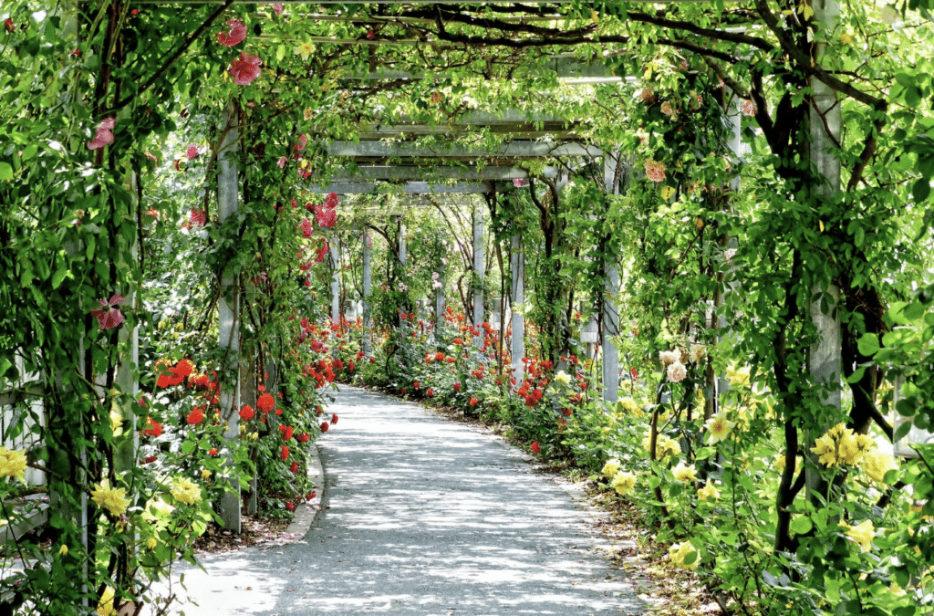 parc jardin gironde bordeaux chateau