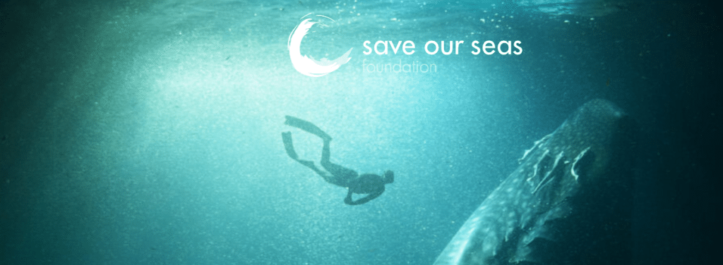 saveourseas, Promenade Sainte-Catherine