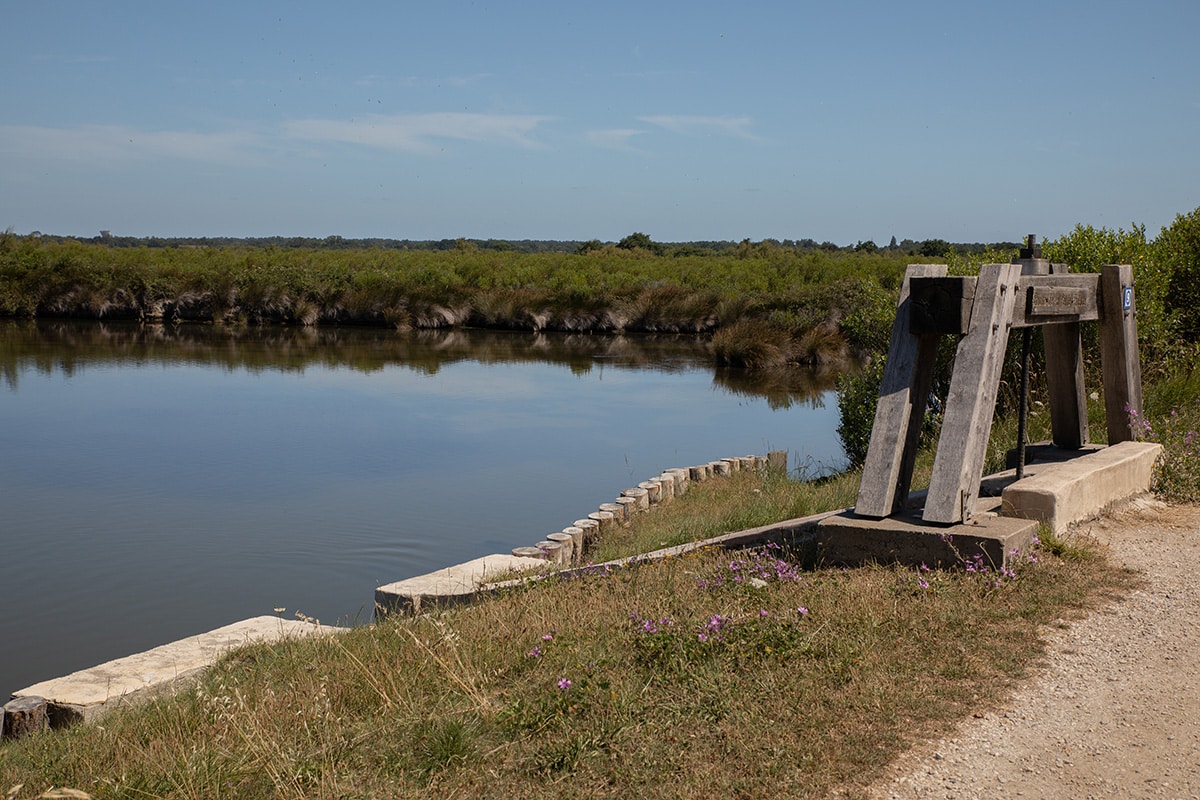 quoi-faire-a-bodeaux-domaine-certes-graveyron