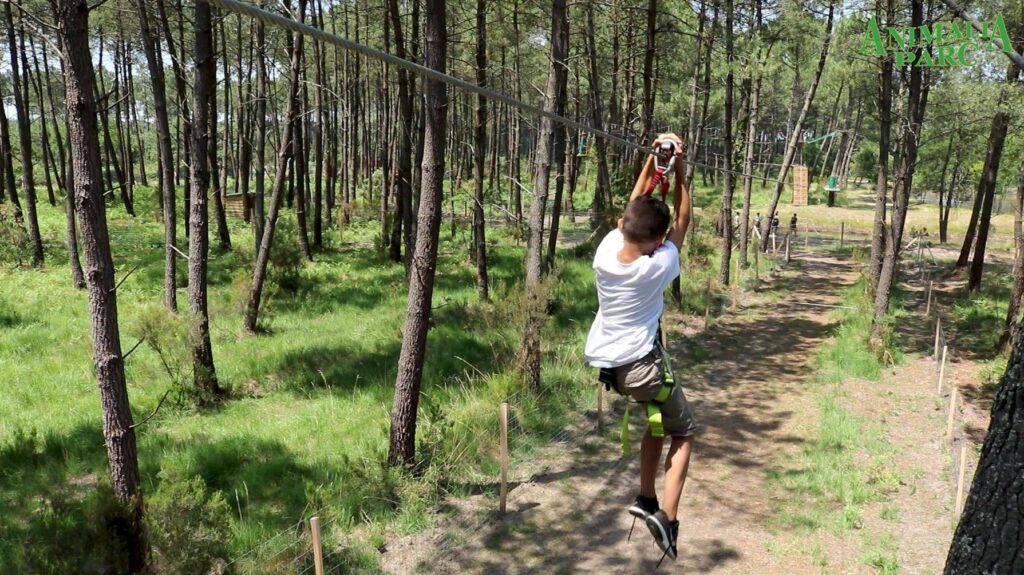 Animalia Parc, activités enfants