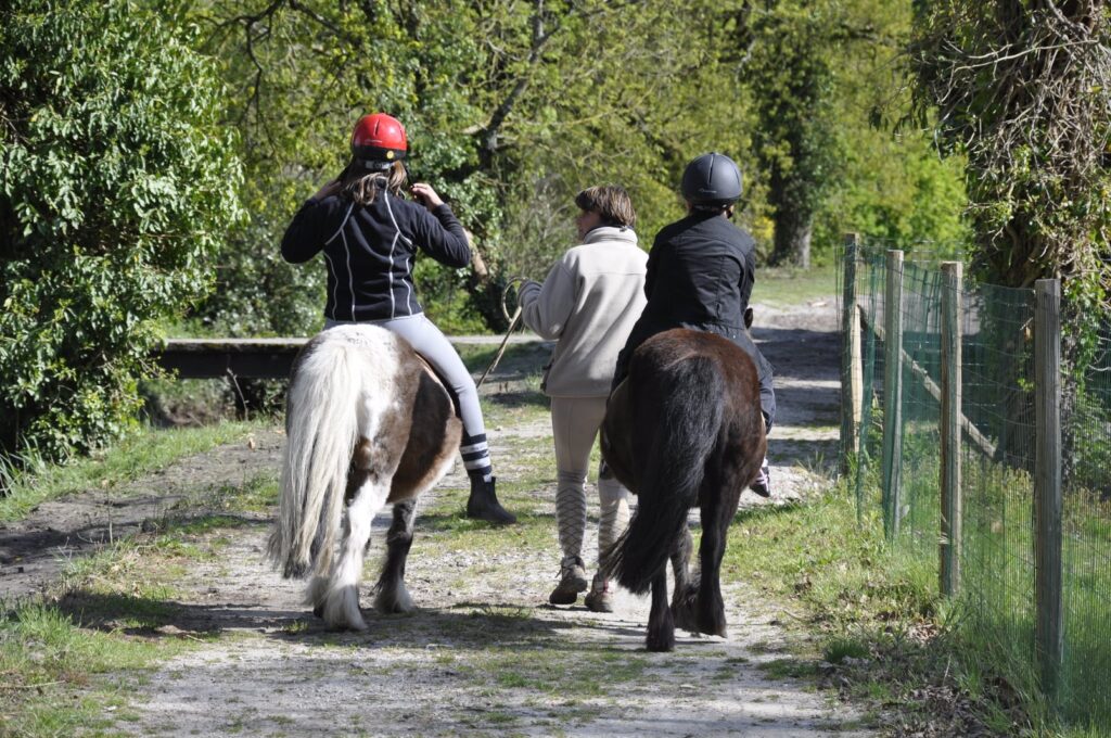 Animalia Parc, activités enfants