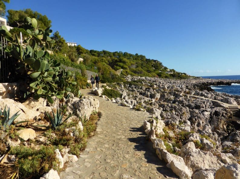 quoi-faire-a-bordeaux-sentier-littoral-cap-ferret