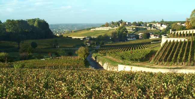 quoi-faire-a-bordeaux-vignoble-saint-emilion