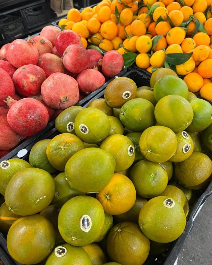 Fruits et légumes du maraicher