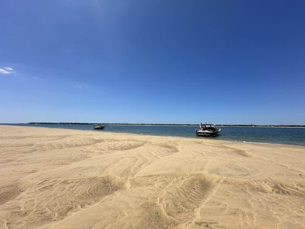 L'île aux oiseaux