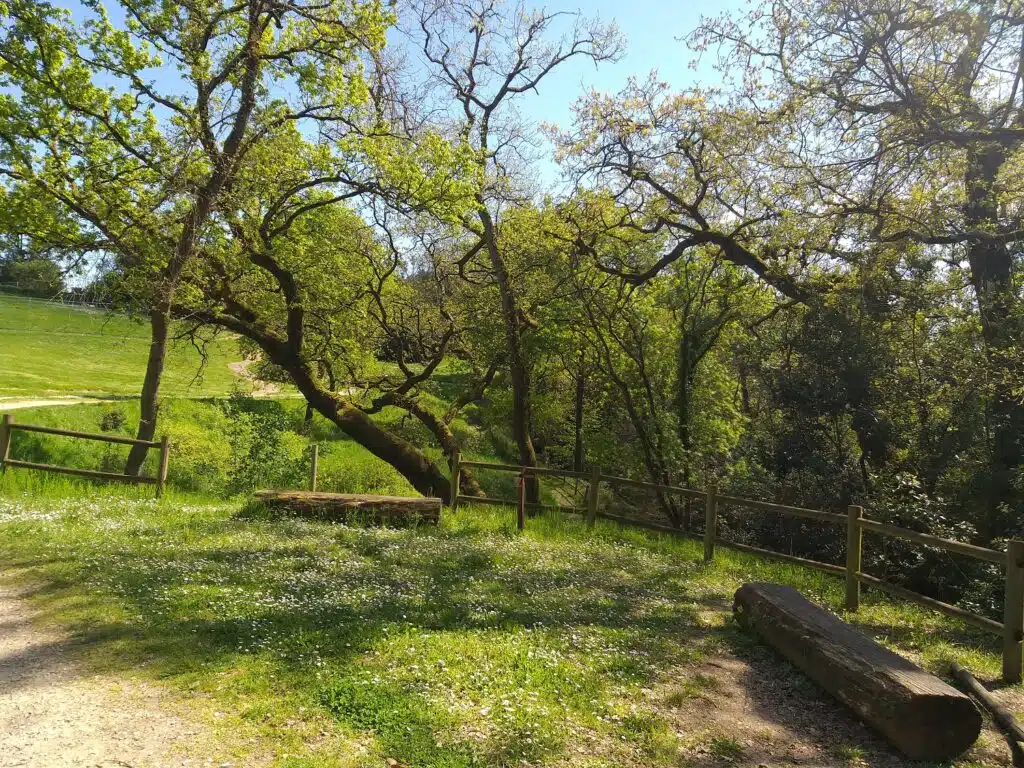 Parc du Cypressat, dégustations de vins