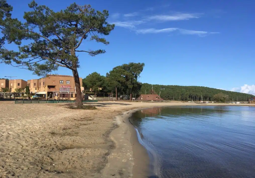 objectif nage gironde