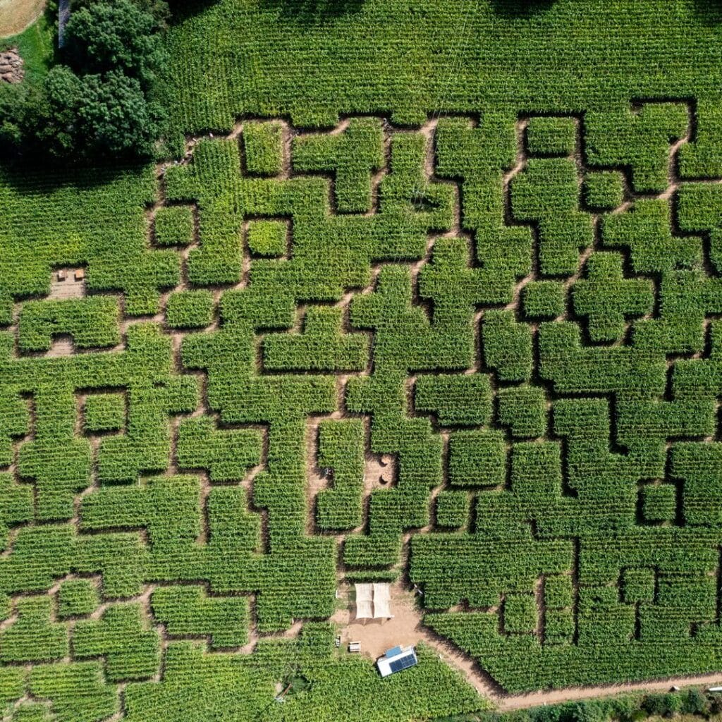 Labyrinthe maïs Bordeaux