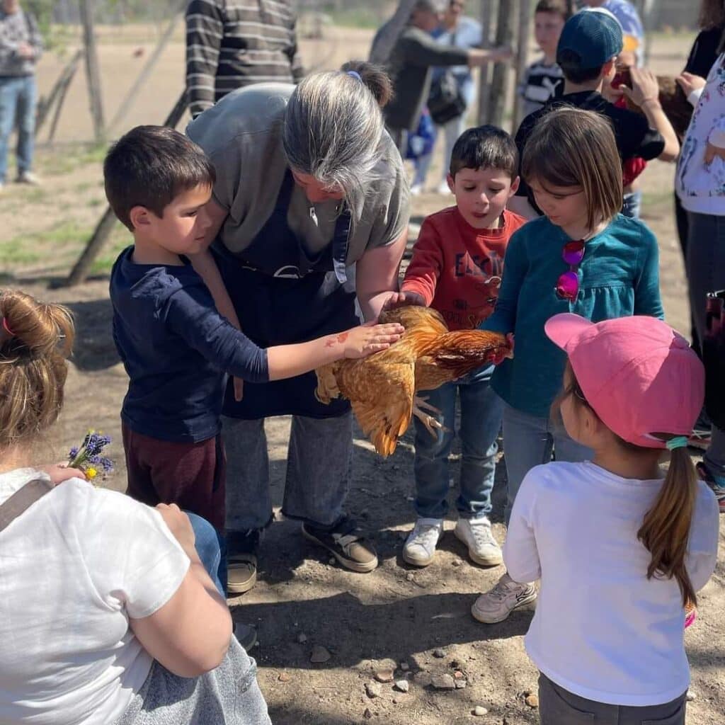 Animations pour les enfants