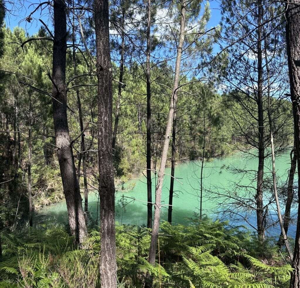 Lac de Montguyon à 50 minutes de Bordeaux