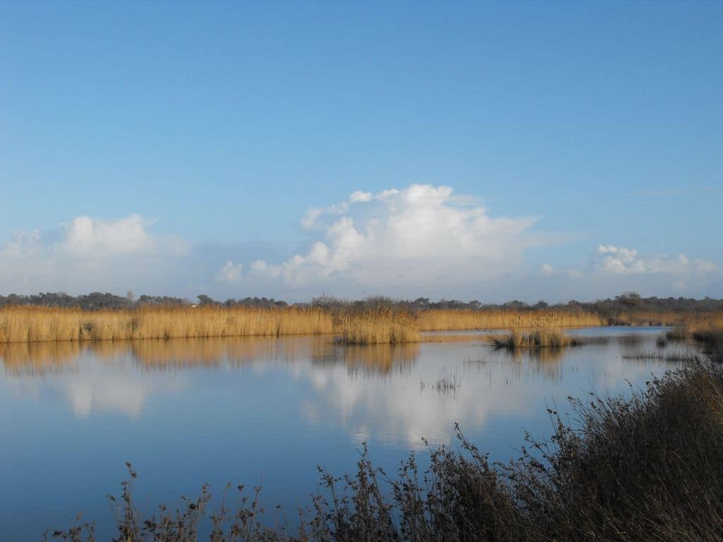 Médoc Atlantique activité insolite vacances 