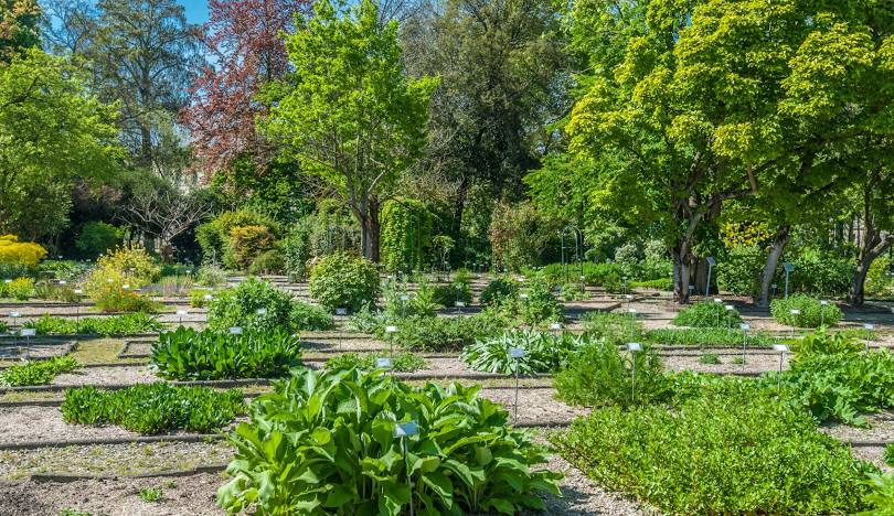 Jardin Botanique de Bordeaux