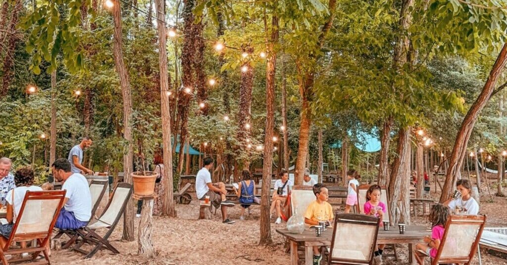 Guinguette, brunch et soirées à la Ferme d'Illats en Gironde