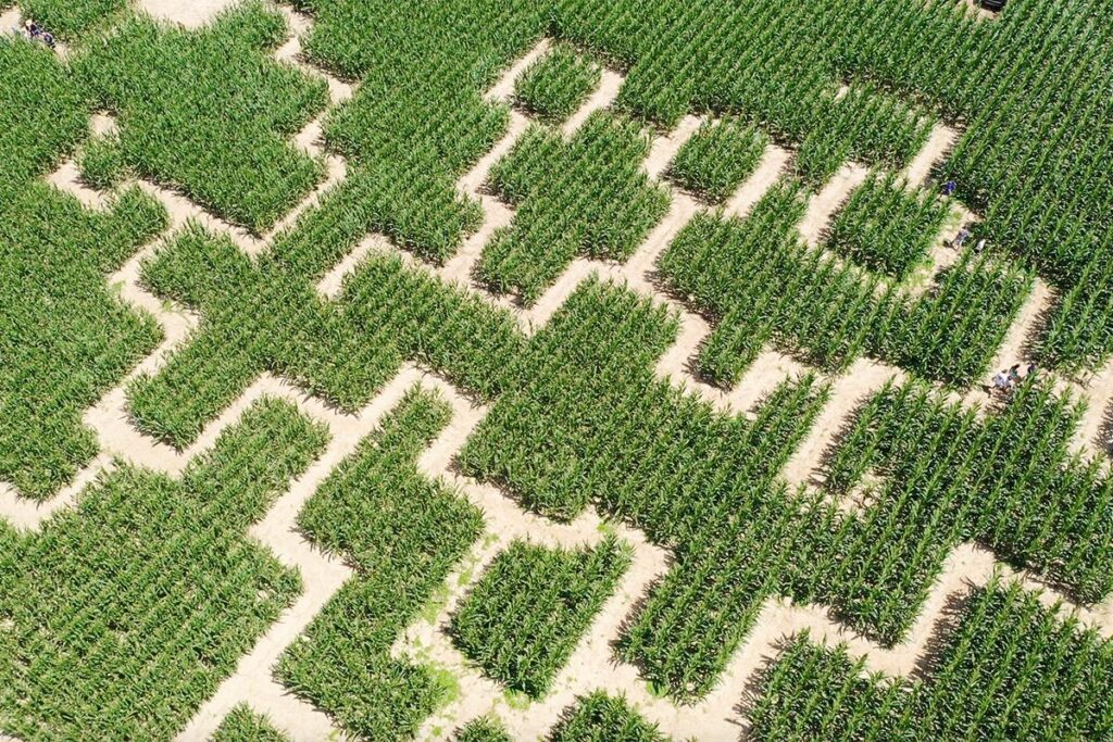 Labyrinthe Bordeaux en mode escape game 