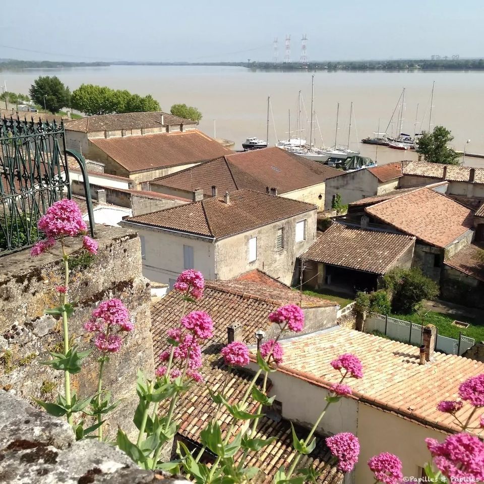  Marco Polo Bordeaux, Croisière