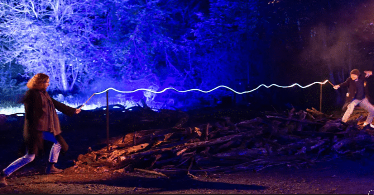 Harry Potter La Forêt Interdite à Montauban