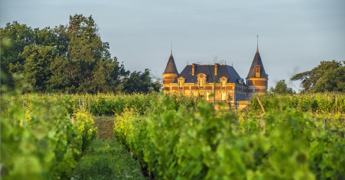 Brunch à Bommes à 50 minutes de Bordeaux au Château de Rayne Vigneau dans les vignes