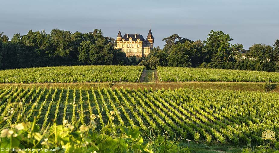 Château de Rayne Vigneau à Bommes