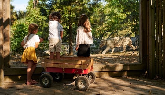 zoo pessac zoo bordeaux enfant que faire à bordeaux