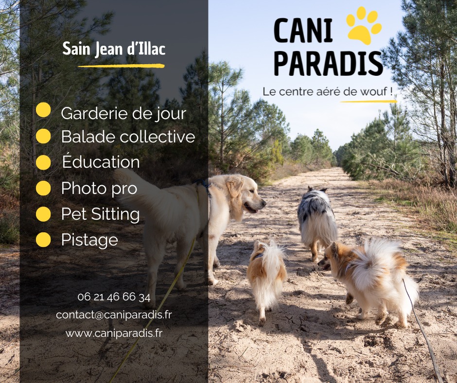 Cani Paradis, un centre aéré canin à Saint-Jean-d'Illac