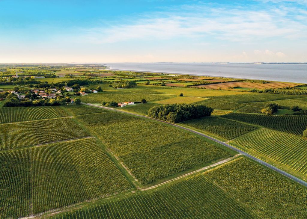 Vin et vignoble du Médoc pendant les Journées Européennes du Patrimoine