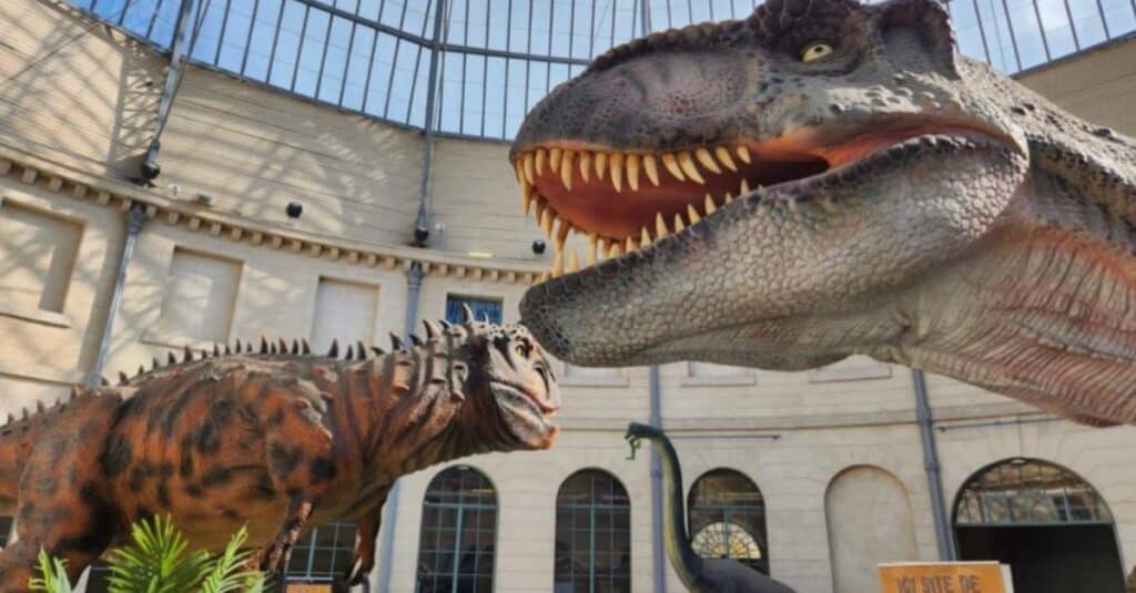 Que faire en Gironde ce week-end ? Exposition dinosaures