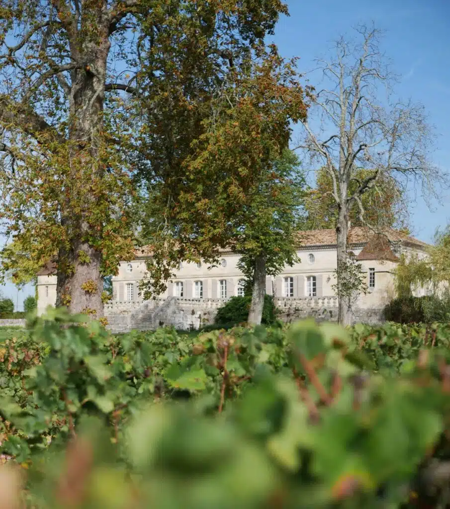 Pomerol vin et vignes