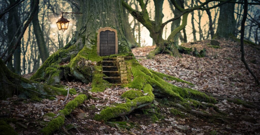 La Forêt Magique de Bordeaux près de Libourne