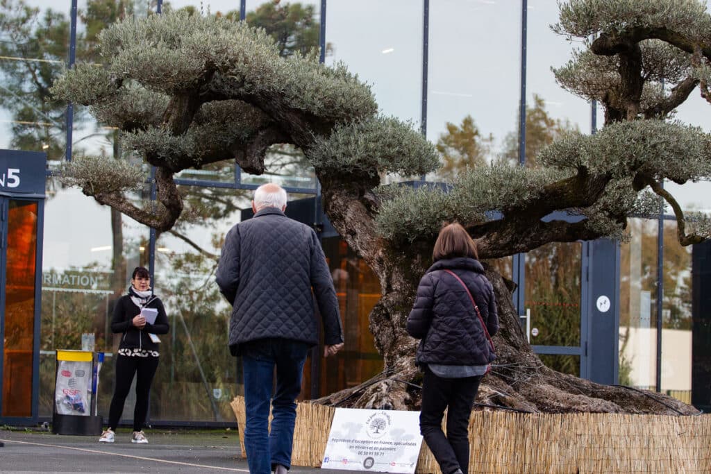 Plantes et arbres pour vos jardins