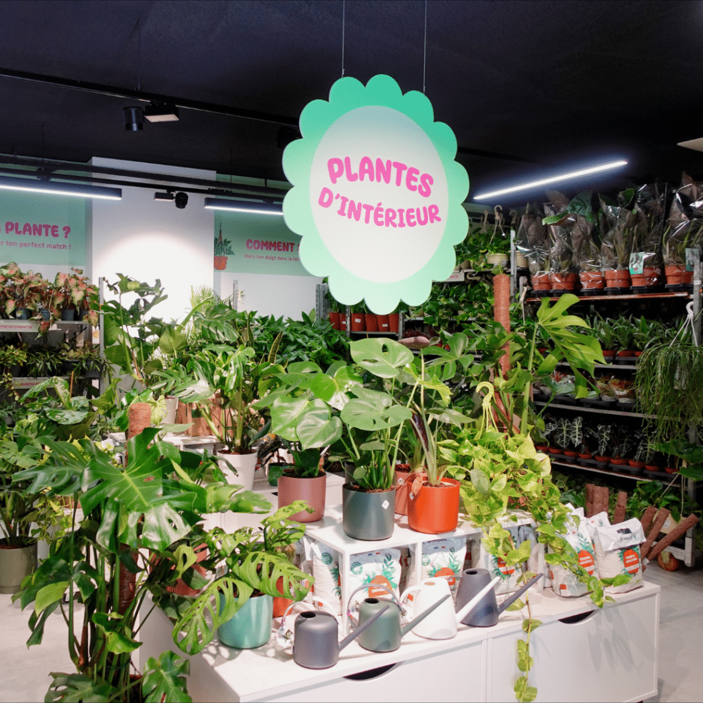 grande vente de plantes à Bordeaux