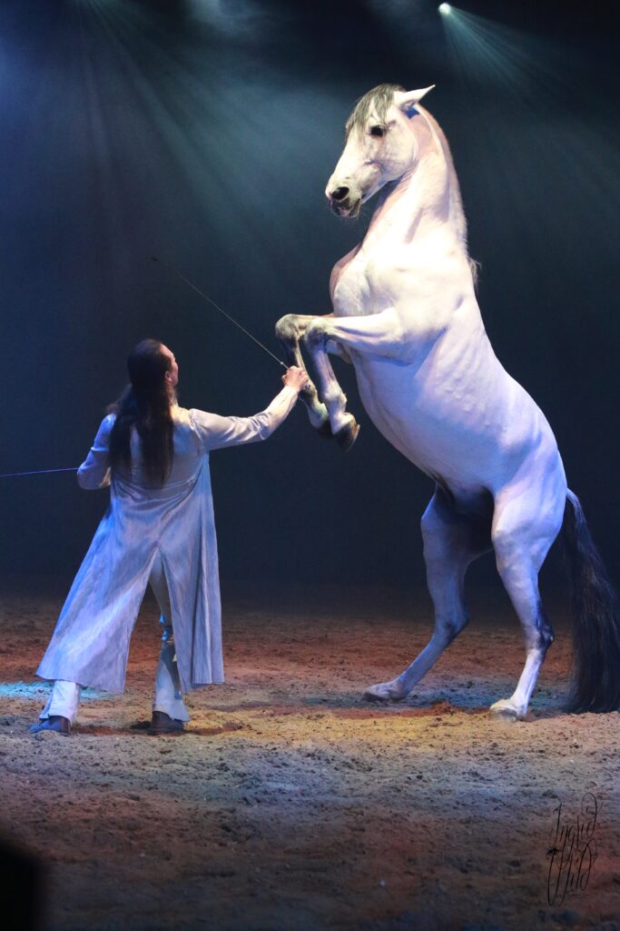 Jumping International de Bordeaux : l'idée cadeau de ce Noël 2024 2 spectacle ouverture jumping international