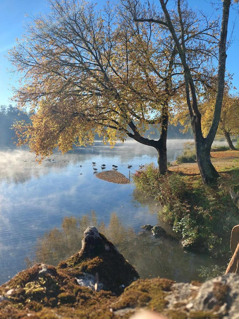 Parc de Majolan à Blanquefort et son futur nouveau restaurant à Blanquefort