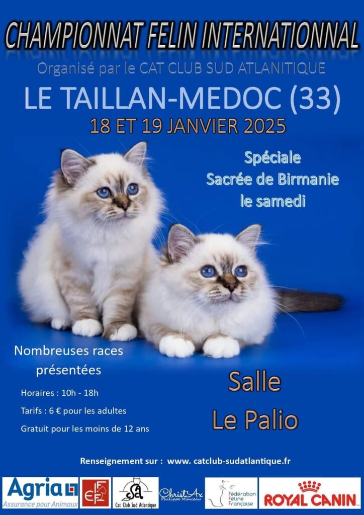 Le Taillan Médoc​ : Concours de chat, concours félin